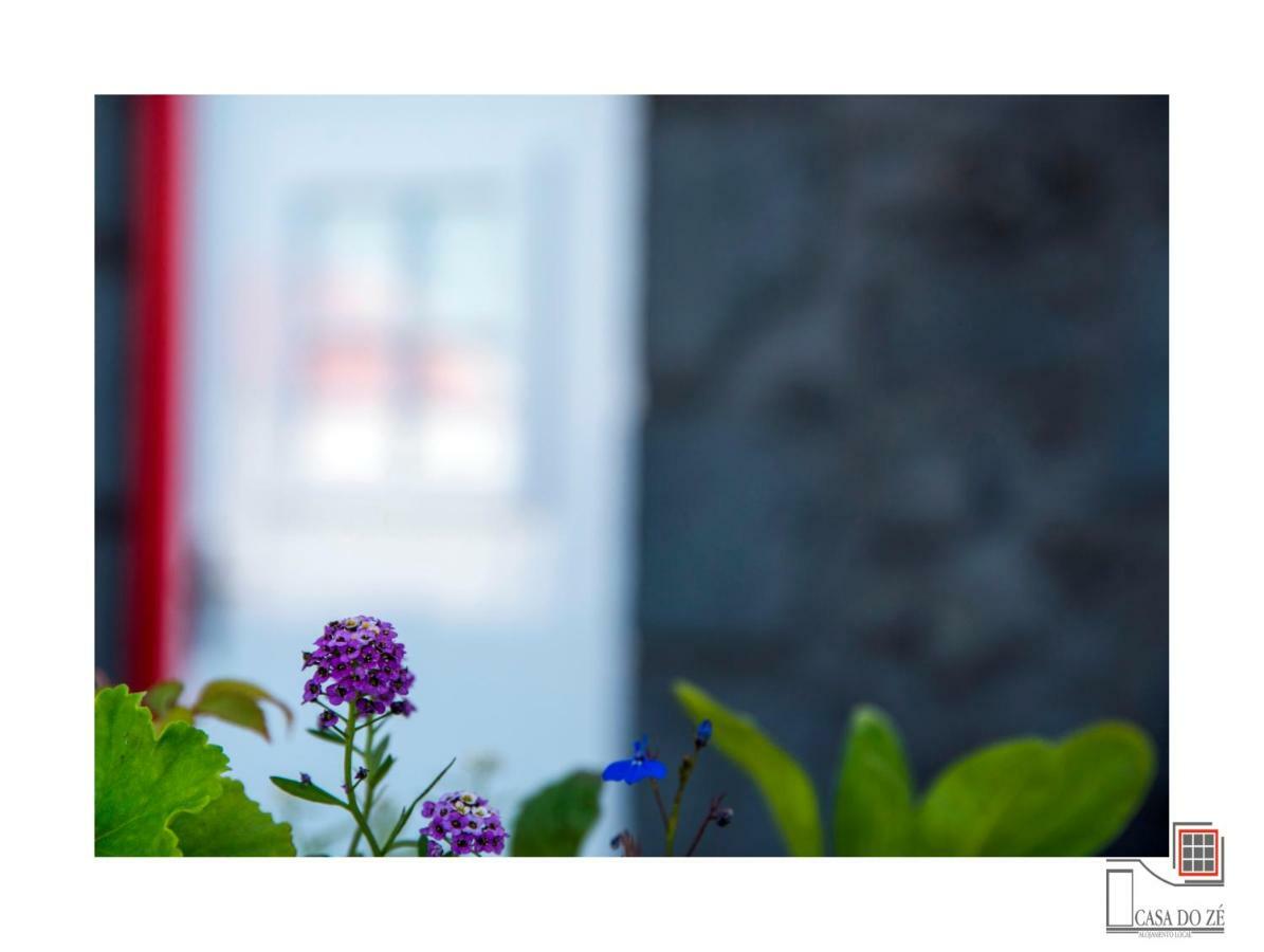 维拉斯Casa Do Ze II Al公寓 外观 照片